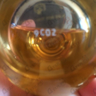 Отзывы Christian Dior J'adore Absolu (2018)