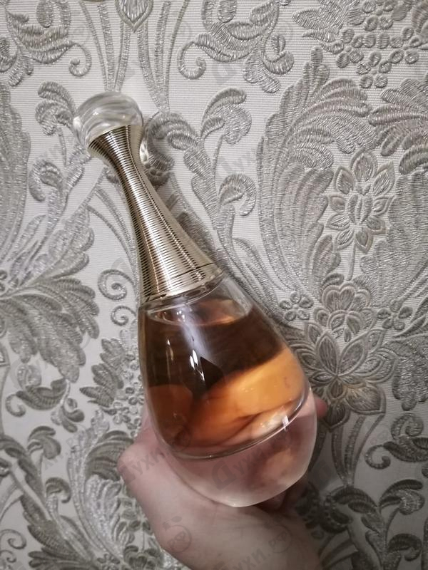 Купить J'adore Absolu (2018) от Christian Dior Парфюмерия Christian Dior J'adore Absolu (2018)