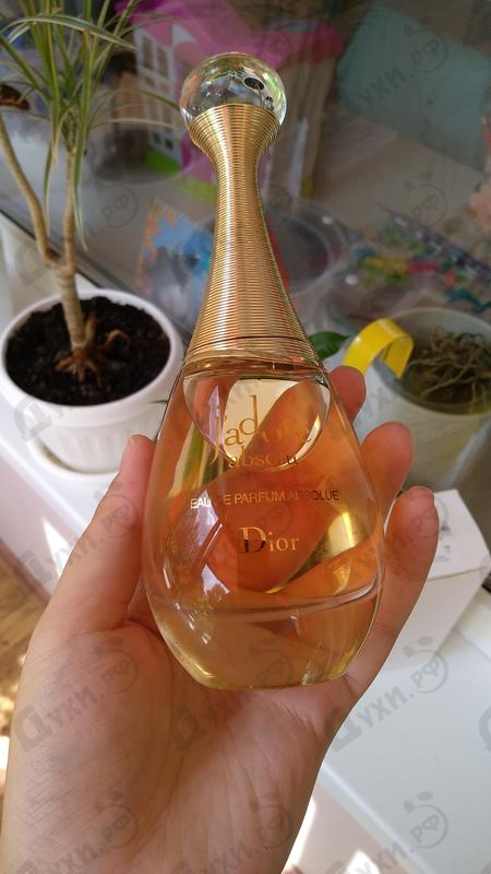 Духи J'adore Absolu (2018) от Christian Dior Отзыв Christian Dior J'adore Absolu (2018)