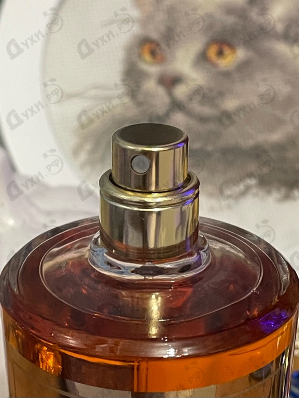 Духи La Corte от Salvatore Ferragamo