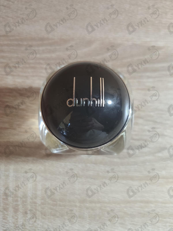 Купить Century от Dunhill