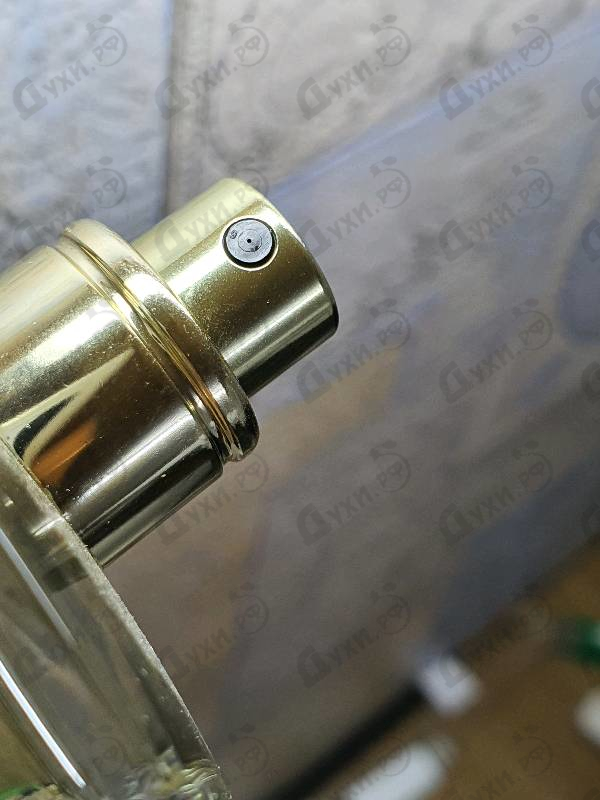 Отзывы Giorgio Armani Orangerie Venise Парфюмерия Orangerie Venise от Giorgio Armani