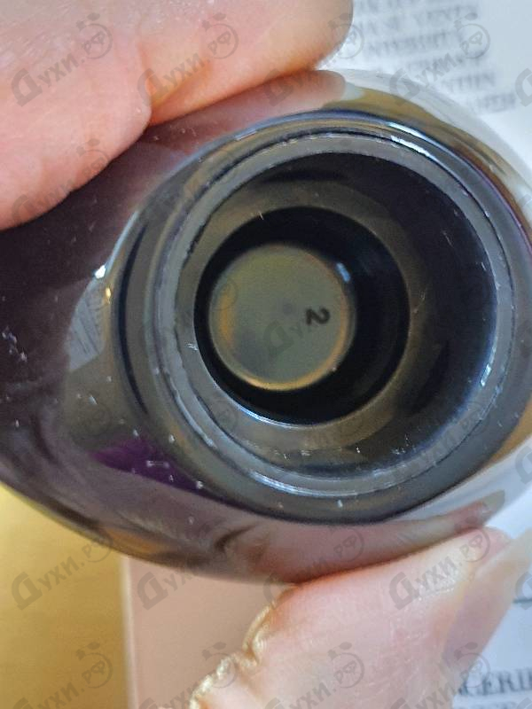 Отзыв Giorgio Armani Orangerie Venise Купить Orangerie Venise от Giorgio Armani