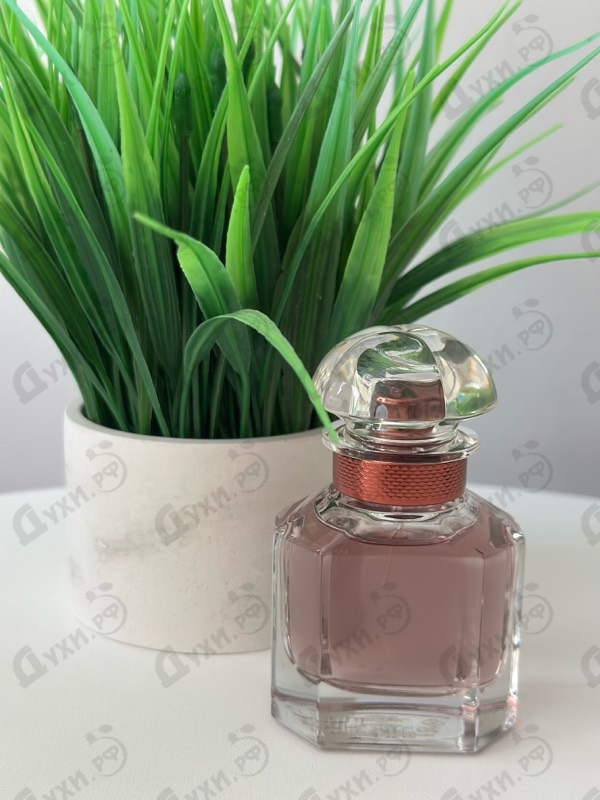 Купить Guerlain Mon Guerlain Eau De Parfum Intense