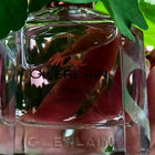 Отзыв Guerlain Mon Guerlain Eau De Parfum Intense