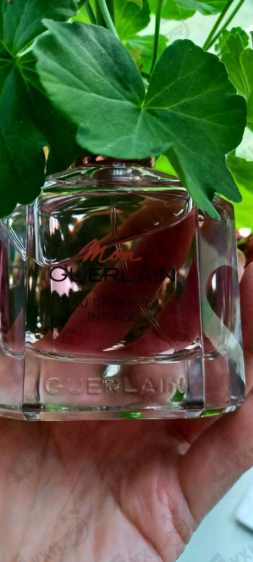 Купить Guerlain Mon Guerlain Eau De Parfum Intense