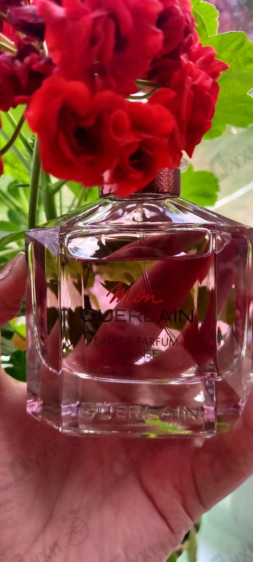 Духи Mon Guerlain Eau De Parfum Intense от Guerlain
