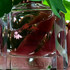 Парфюмерия Mon Guerlain Eau De Parfum Intense от Guerlain Купить Guerlain Mon Guerlain Eau De Parfum Intense
