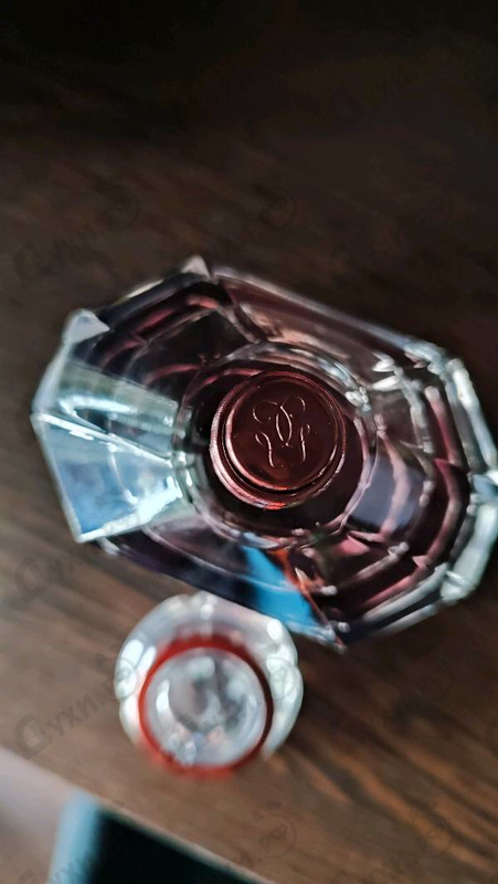 Купить Mon Guerlain Eau De Parfum Intense от Guerlain