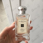 Отзыв Jo Malone Poppy & Barley (2019)