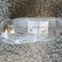 Парфюмерия Jo Malone Poppy & Barley (2019) Духи Poppy & Barley (2019) от Jo Malone