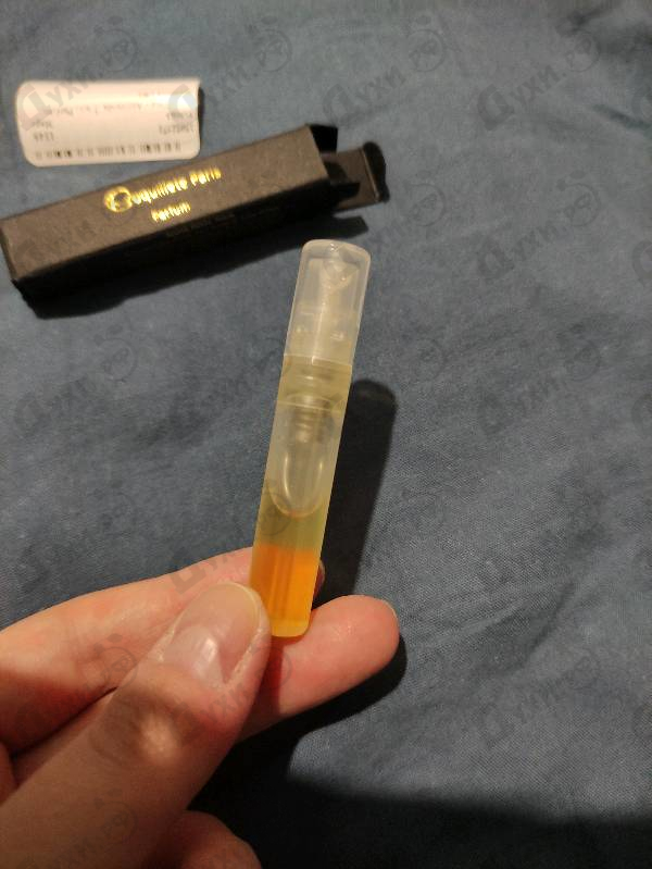 Купить Coquillete Ambrosia