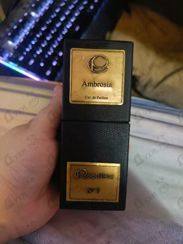 Купить Ambrosia от Coquillete