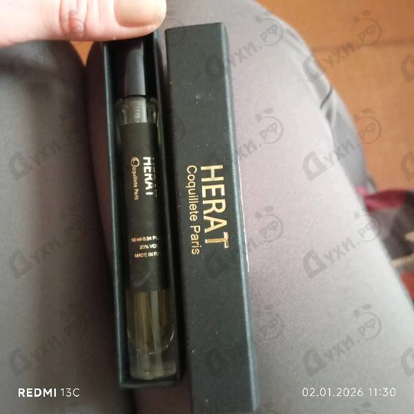 Купить Coquillete Herat