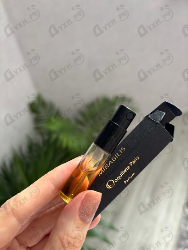 Купить Mirabilis от Coquillete