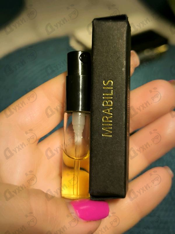 Купить Mirabilis от Coquillete