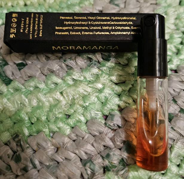 Купить Coquillete Moramanga