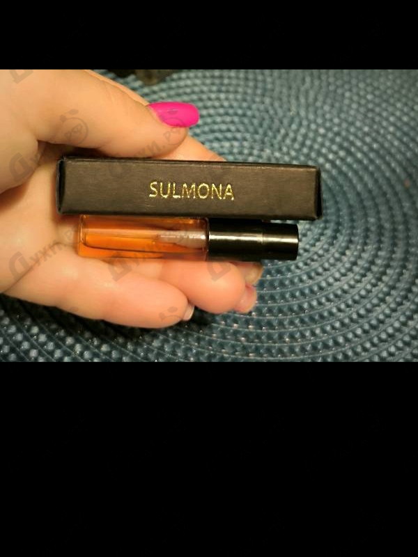 Отзыв Coquillete Sulmona