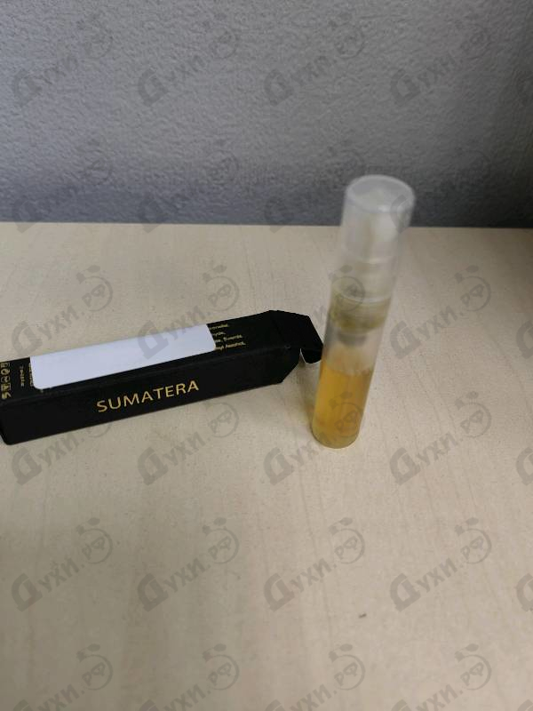 Купить Coquillete Sumatera