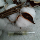 Отзыв Sofia Vergara Sofia