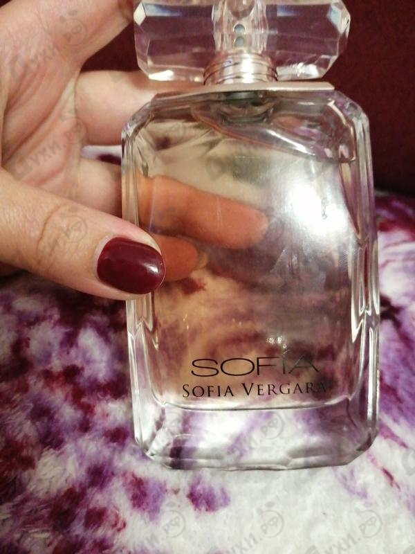 Духи Sofia Vergara Sofia Купить Sofia от Sofia Vergara