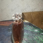 Отзыв Sofia Vergara Sofia