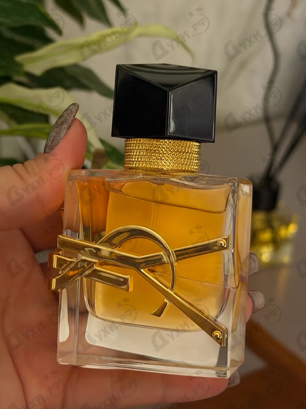 Отзыв Yves Saint Laurent Libre