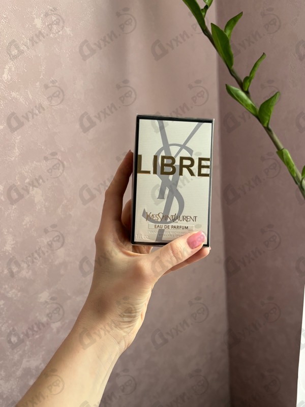 Купить Yves Saint Laurent Libre