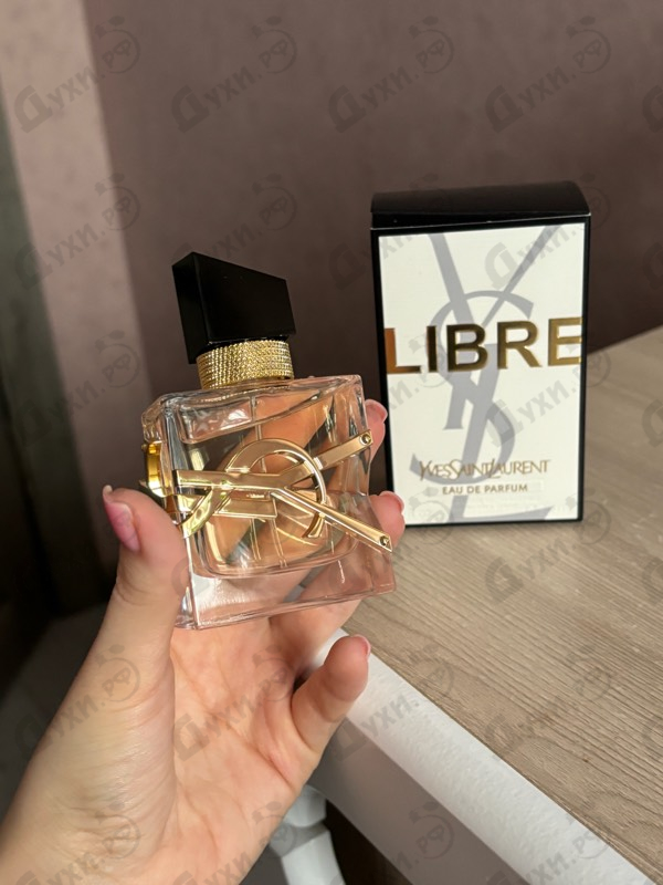 Парфюмерия Yves Saint Laurent Libre