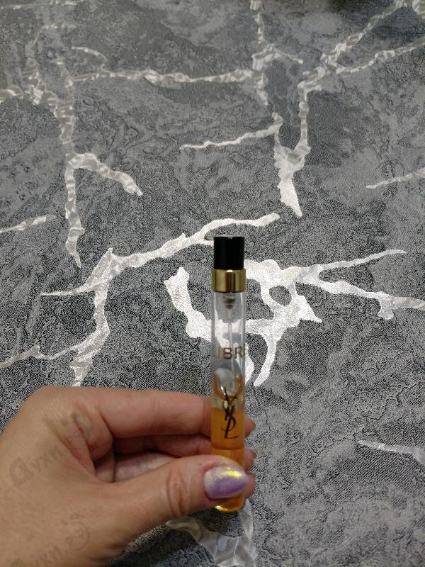 Купить Libre от Yves Saint Laurent