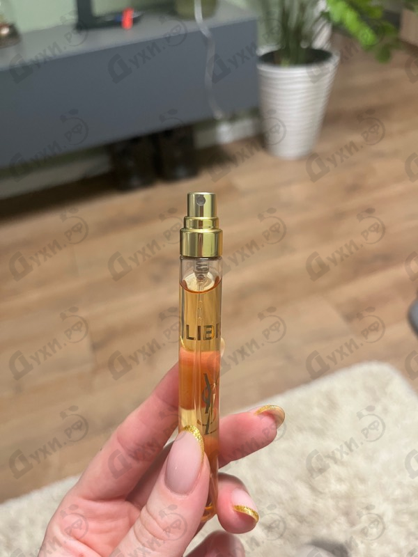 Купить Libre от Yves Saint Laurent