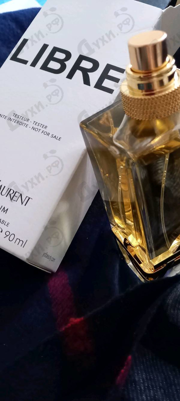 Купить Libre от Yves Saint Laurent