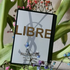 Парфюмерия Yves Saint Laurent Libre