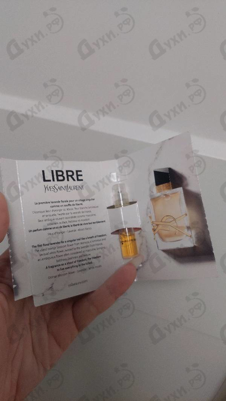 Купить Libre от Yves Saint Laurent