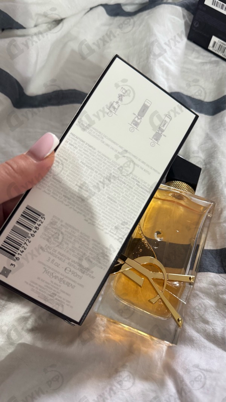 Купить Libre от Yves Saint Laurent