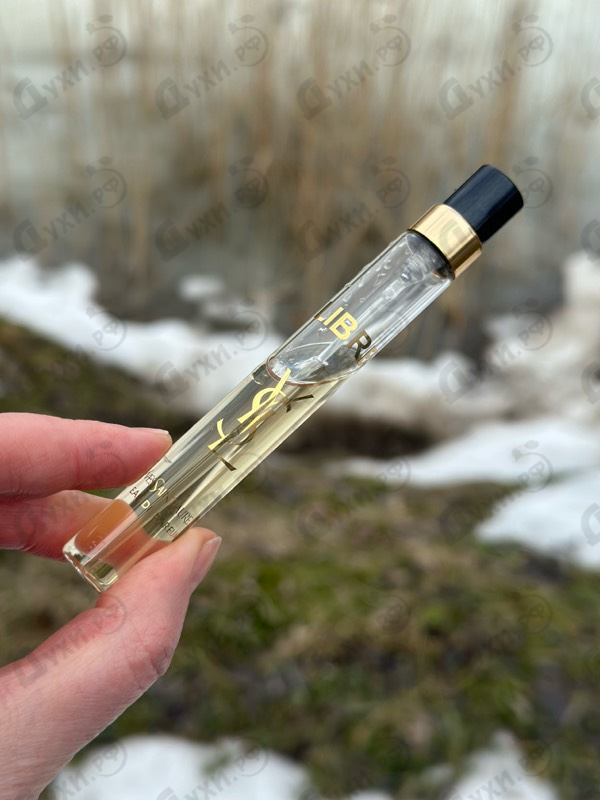 Отзывы Yves Saint Laurent Libre