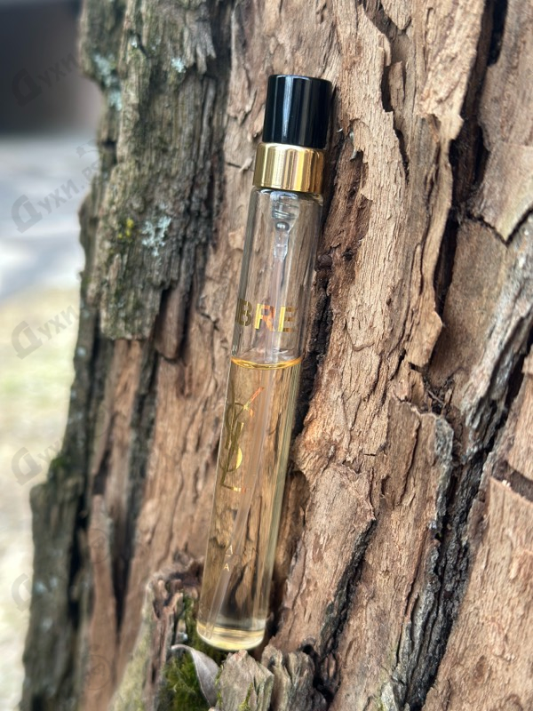 Купить Libre от Yves Saint Laurent