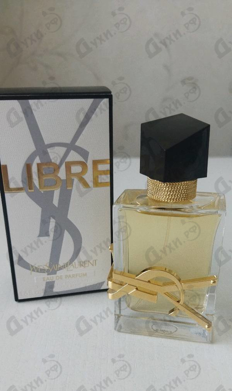 Купить Libre от Yves Saint Laurent
