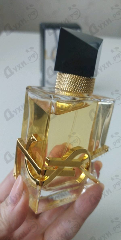 Купить Libre от Yves Saint Laurent