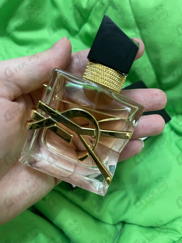 Купить Libre от Yves Saint Laurent