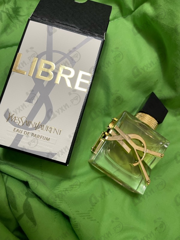 Купить Libre от Yves Saint Laurent