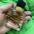 Купить Libre от Yves Saint Laurent