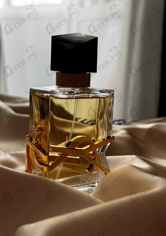 Парфюмерия Libre от Yves Saint Laurent