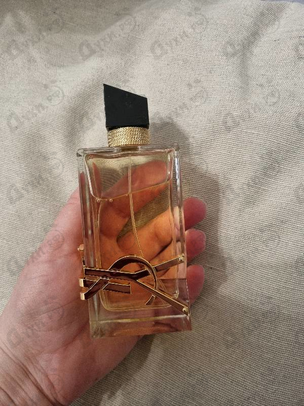 Парфюмерия Libre от Yves Saint Laurent