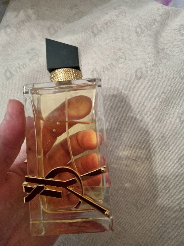 Отзывы Yves Saint Laurent Libre