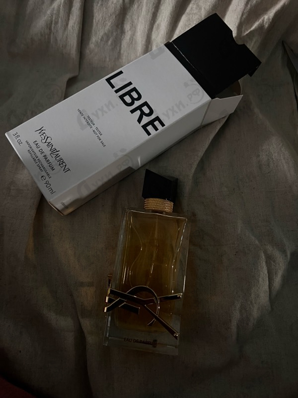 Купить Libre от Yves Saint Laurent