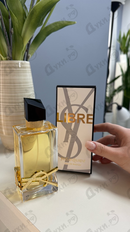 Парфюмерия Libre от Yves Saint Laurent