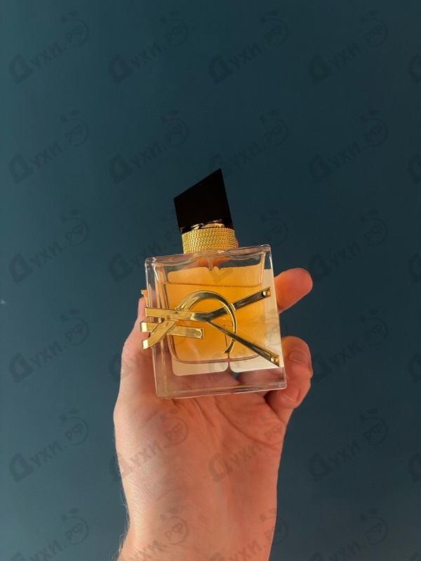 Купить Libre от Yves Saint Laurent