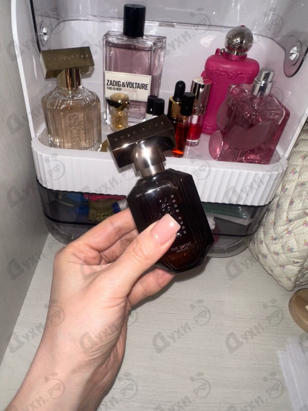 Купить Hugo Boss The Scent Absolute