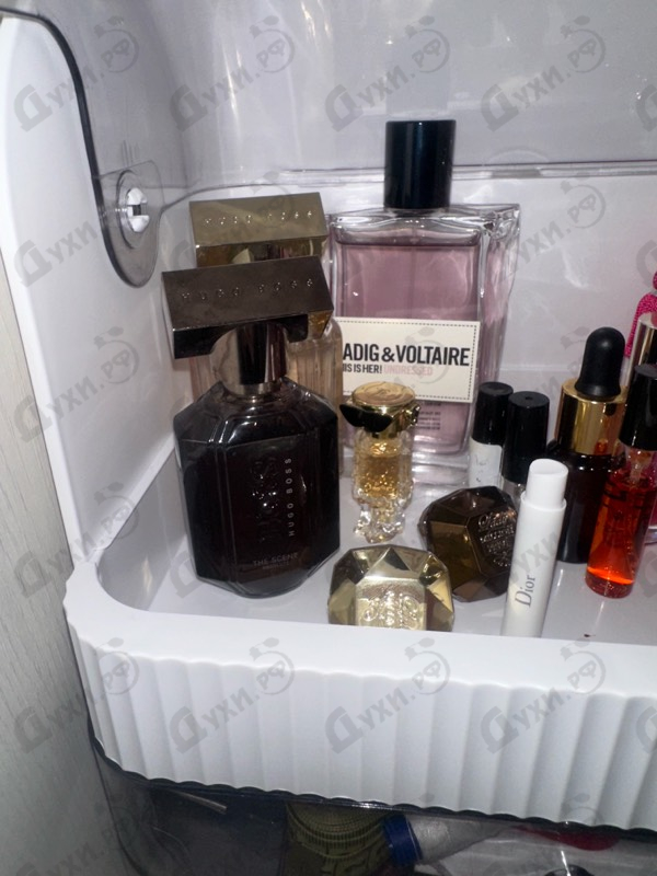 Купить The Scent Absolute от Hugo Boss